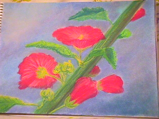 Hollyhocks