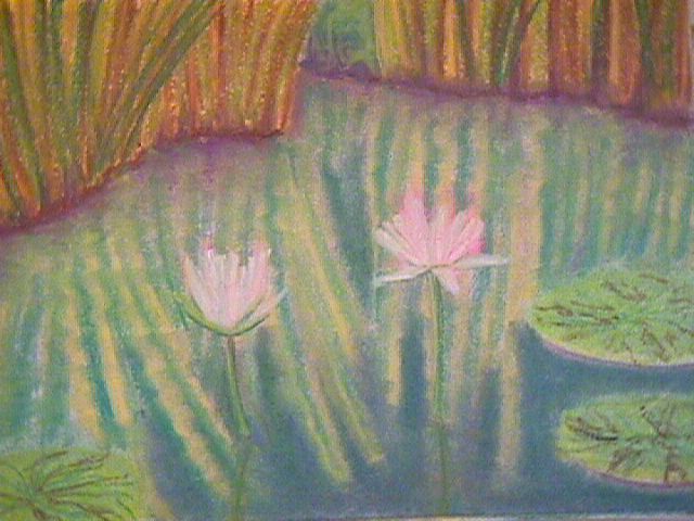 Water Lilies