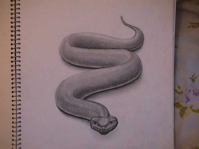 Snake