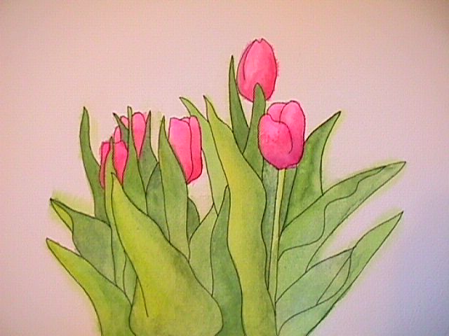 Tulips