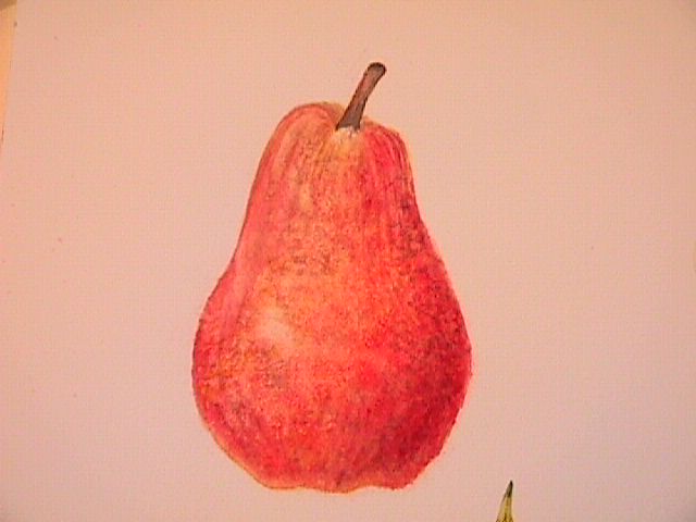 Pear