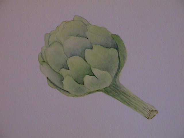 Artichoke