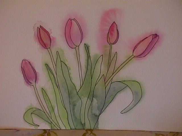 Tulips