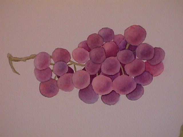 Grapes