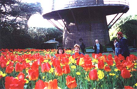 T&H in tulips