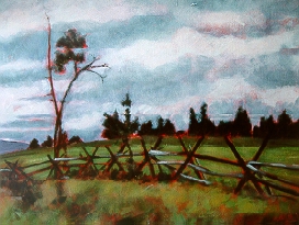 Cariboo Fence