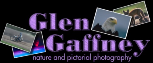 Glen Gaffney Nature and Pictorial Photography