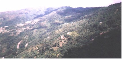 Nepalese Country Side