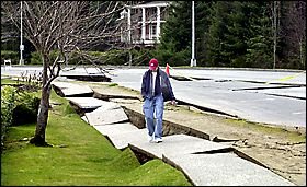 Buckled sidewalk