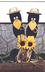 Crows Picture