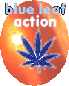 Click Here to visit the Blue Leaf main page