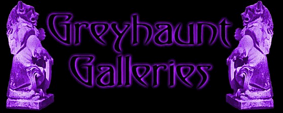 Enter Greyhaunt Galleries