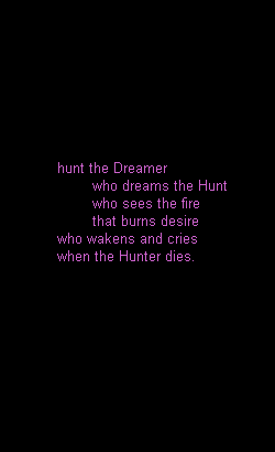 hunt the Dreamer