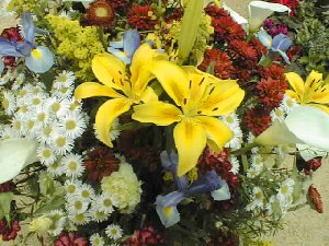 Close-up of flowers