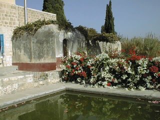 Pool and Courtyard of Mazra'ih