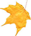 yellow leaf