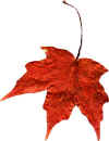 red leaf