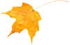 yellow leaf