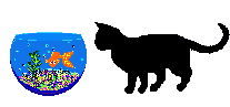 fishbowl and cat