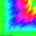 Rainbow Colors Picture 10