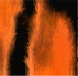 fire.gif (39239 bytes)