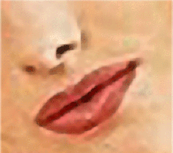 kiss.gif (41023 bytes)