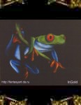 red eyed frog no 2