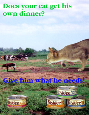 Catfood Ad