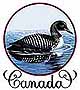 Canadian Loon