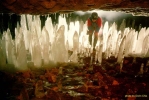 Stalagmites or stalactits ? Anyway they are plain gorgeous! (I presume is a cave open only to professionals!)