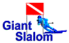 Click here to play Giant Slalon!