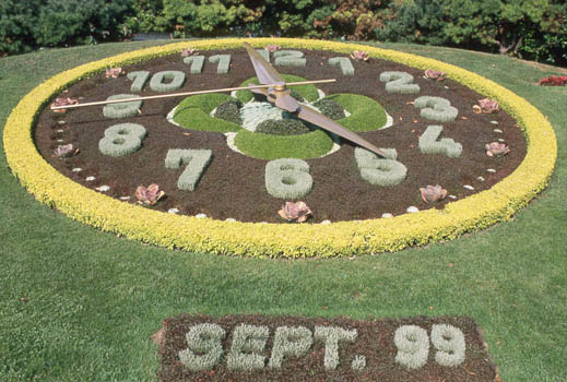 FLOWER_CLOCK