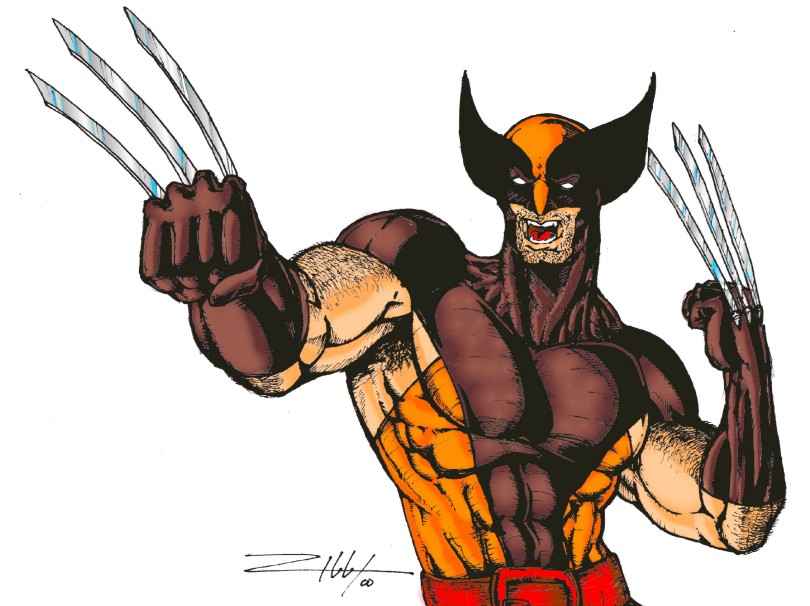 WolverineOldCostume(c).jpg (105415 bytes)