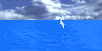 dolphin_jmp_sky.gif (38904 bytes)