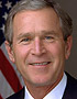 BUSH