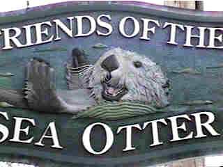 Friendly Otter