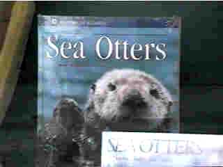 Otter's Who's Who?