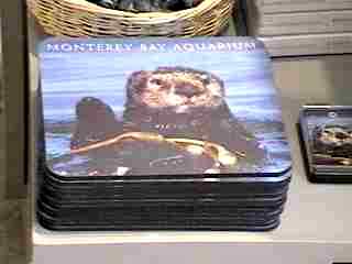 Otter Coasters