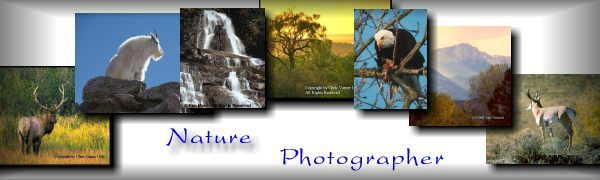 Nature Photographers Special Guest Page 4