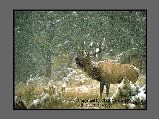 August Nature Image of the Month