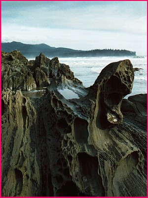 Olympic Peninsula Photo