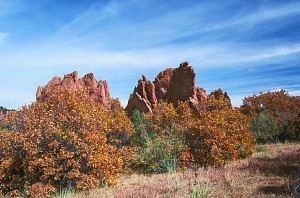 Garden of the Gods Picture