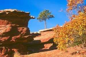 Garden of the Gods Picture