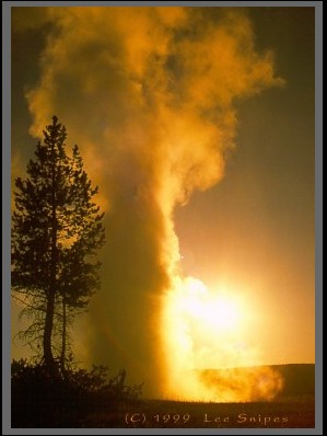 Old Faithful geyser, Yellowstone N.P.