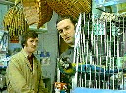 Michael and John and dead parrot