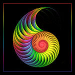 Rainbow_Shell