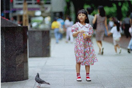 Photograph - girl feeding pigeons