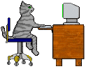 computercat