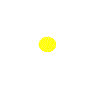 flower.gif (2535 oCg)