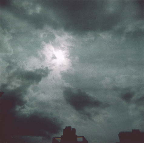 photo taken by holga 120